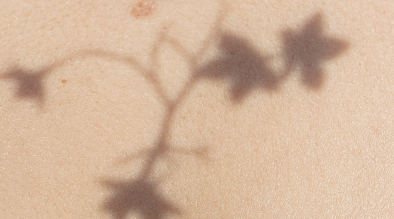 Qué es la dermatología integrativa y cómo puede ayudarte a sanar tu piel