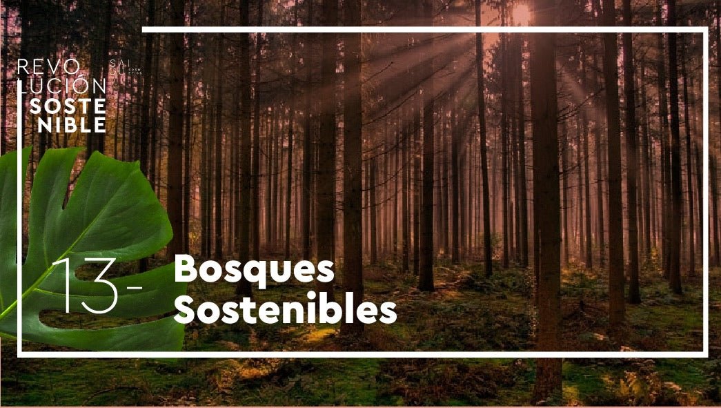bosques sostenibles