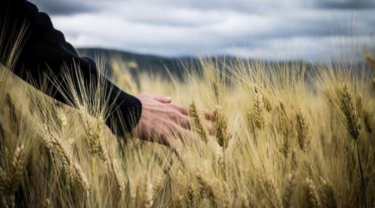 ingredientes de proximidad