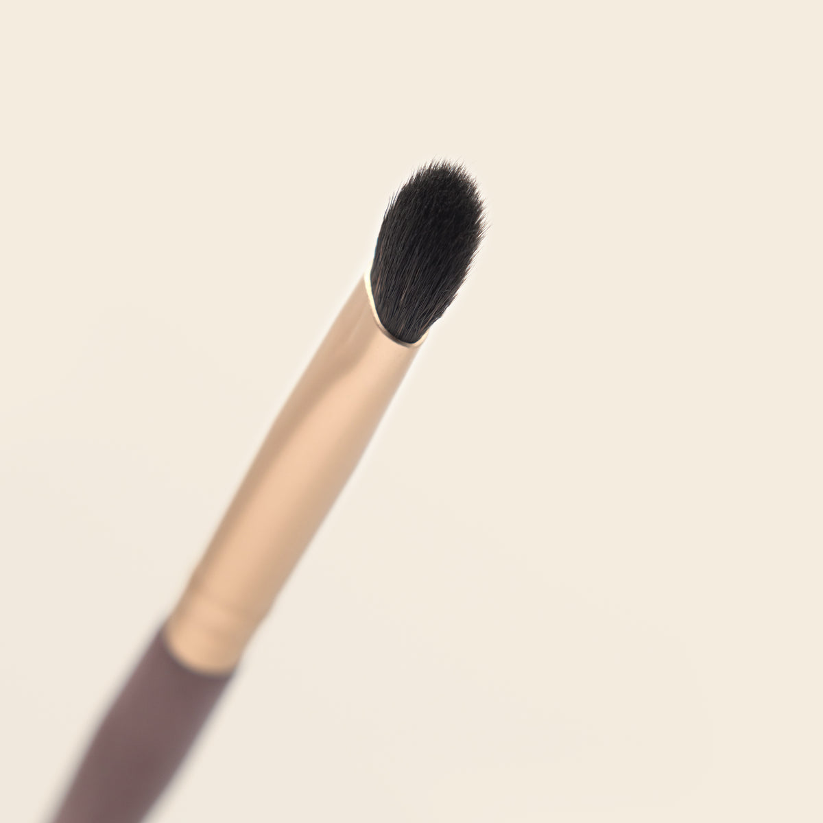 Pincel 024 · Sombras de ojos - IBbrushes x Saigu - Saigu Cosmetics
